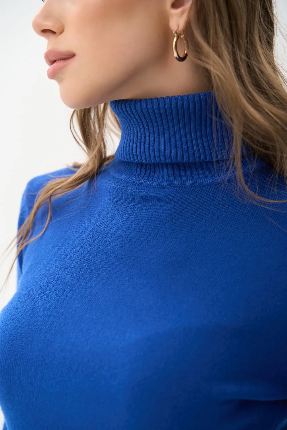 Blue Basic Knit Turtleneck Sweater