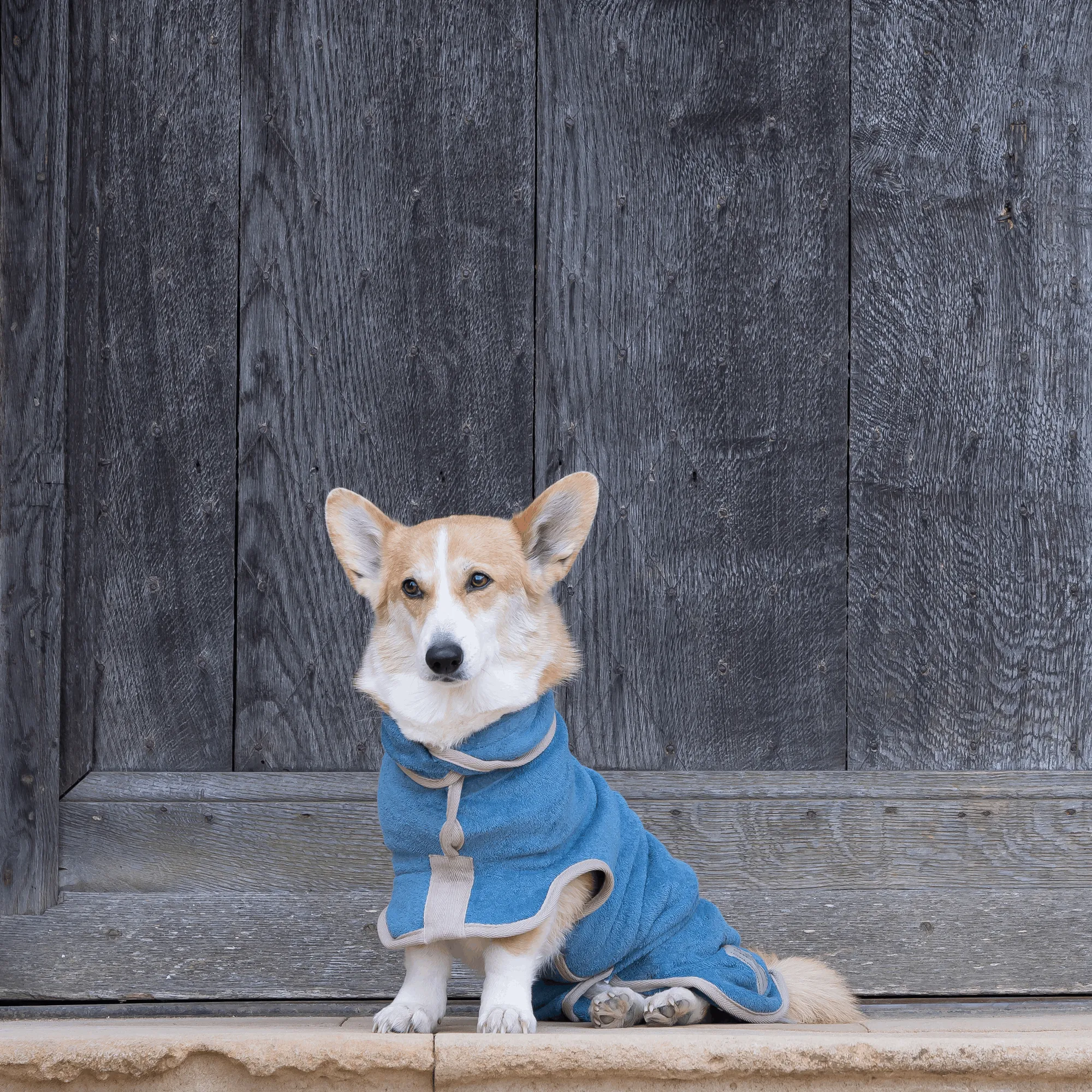 Dog Drying Coat - Classic Collection