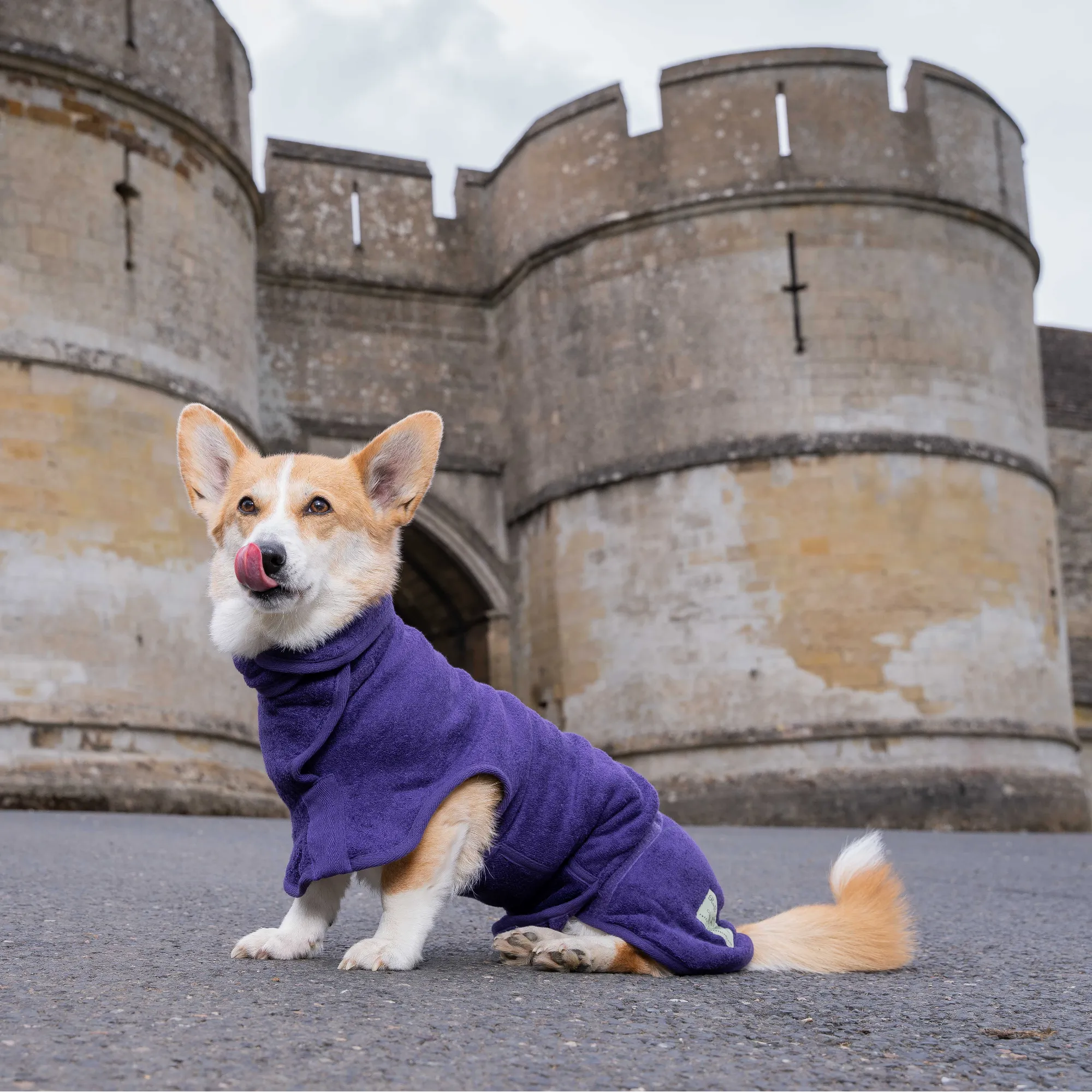 Dog Drying Coat - Classic Collection