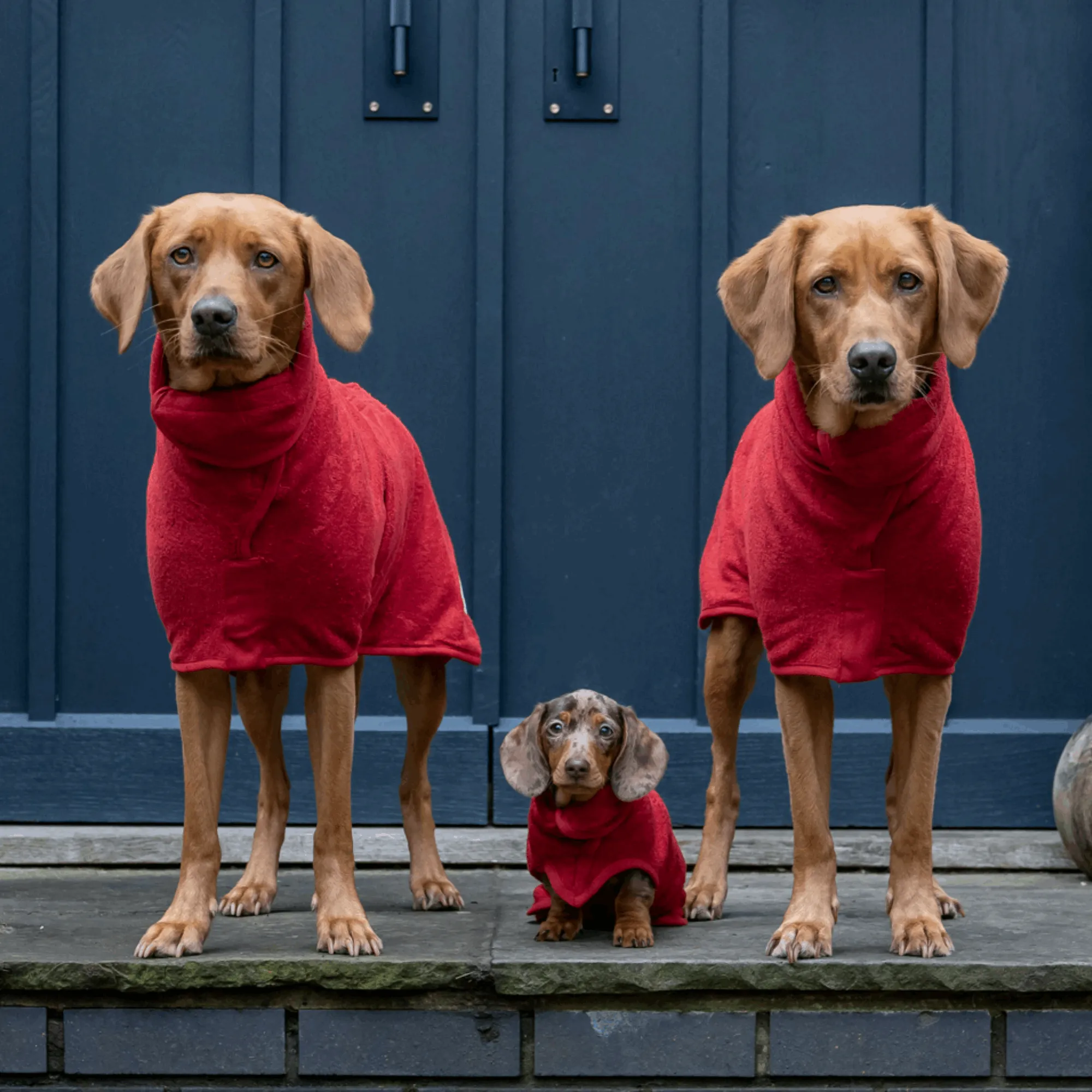 Dog Drying Coat - Classic Collection